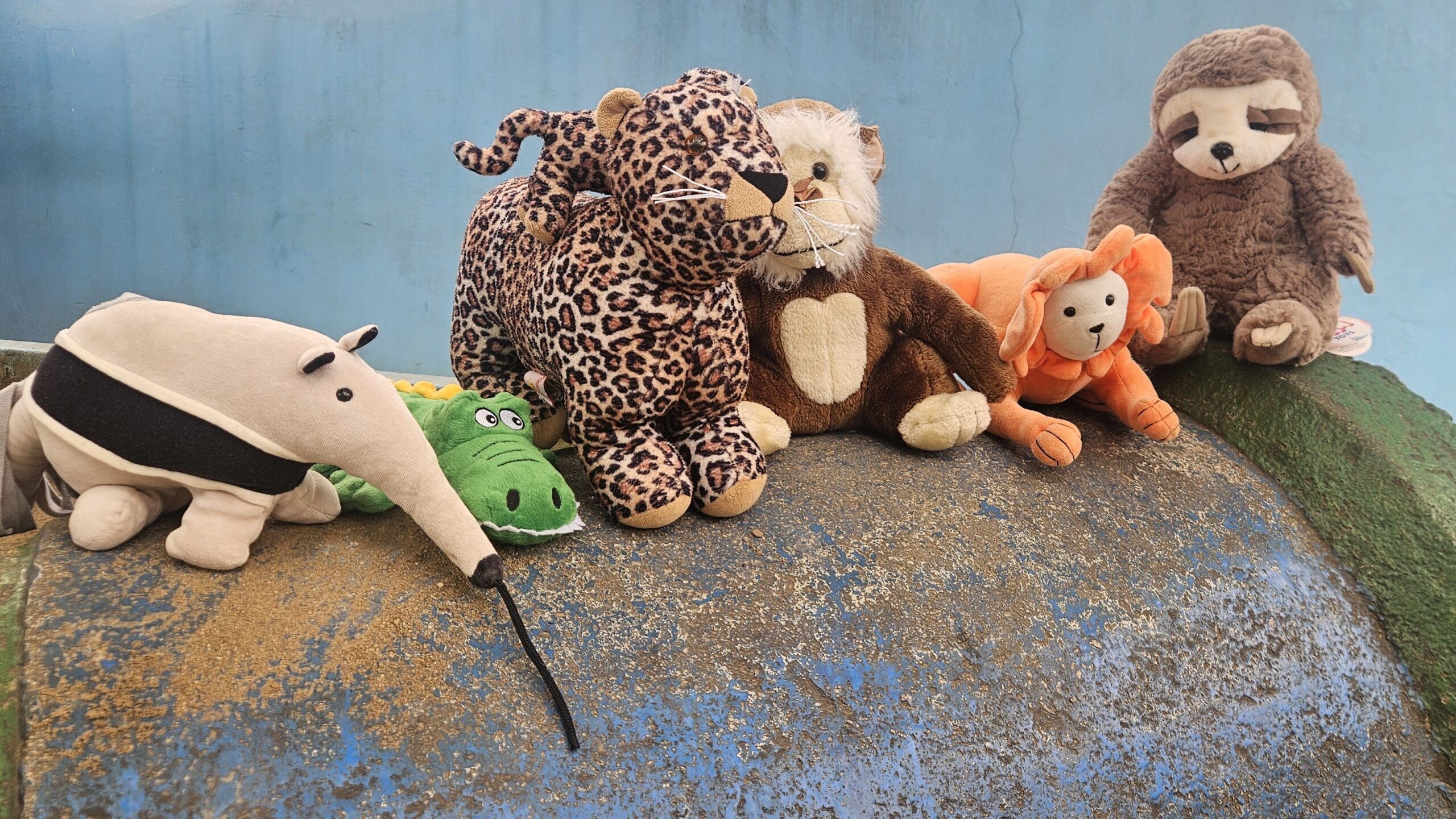Quando os mascotes ganham vida: uma experiência que aproxima casa e escola