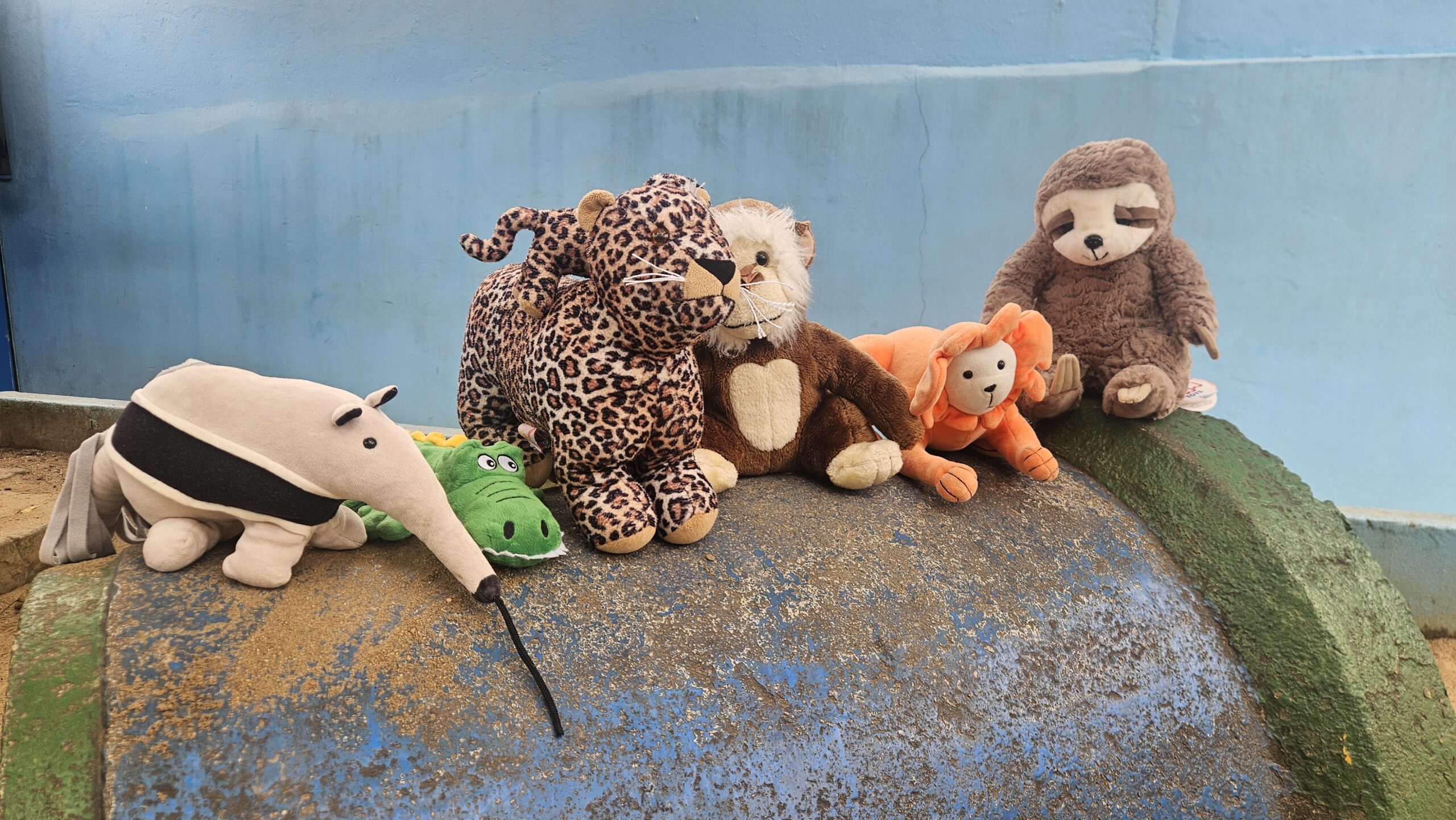 Você sabe por que cada turma da Escola Aquarela tem um nome especial?